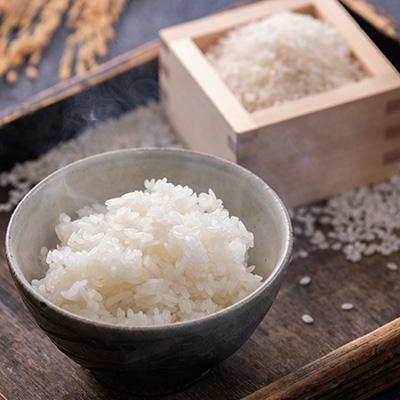 ふるさと納税 五戸町 11月以降発送【令和8年産 新米】青森県産