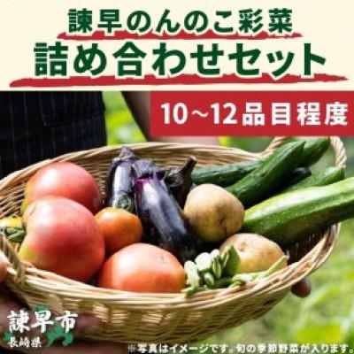 ふるさと納税 諫早市 諫早のんのこ彩菜・詰め合わせセット