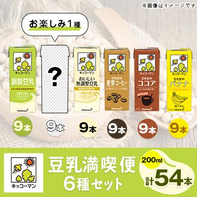 ふるさと納税 瑞穂市 お楽しみ付きキッコーマン豆乳満喫便(200ml×54本)