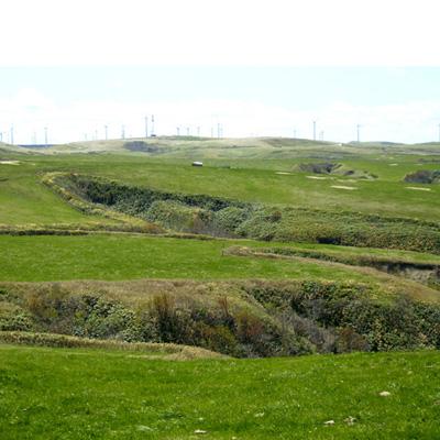 ふるさと納税 稚内市 宗谷黒牛の焼肉用やわらかモモ肉 500g |  | 02