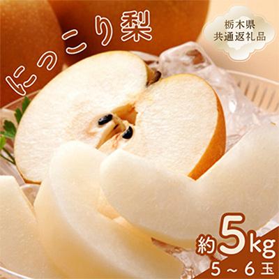 ふるさと納税 那須塩原市 にっこり梨1箱(5個〜6個)[栃木県共通返礼品]