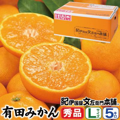 ふるさと納税 湯浅町 先行受付 ブランド有田みかん[L]秀品5kg/薄皮で甘い美味しいみかん/産地直送