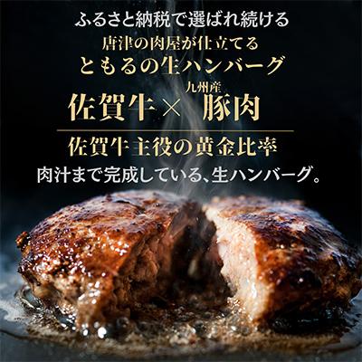 ふるさと納税 ハンバーグ 唐津市 【さとふる限定】【入金確認後最短2日