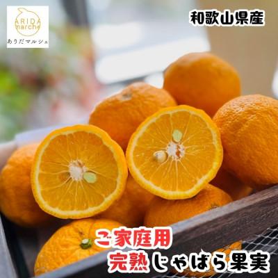 ふるさと納税 湯浅町 ≪先行予約・2027年1月〜発送≫[国産]紀州和歌山のじゃばら果実(ご家庭用) 3kg