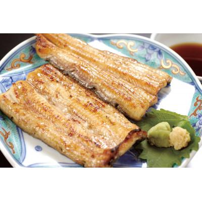 ふるさと納税 浜松市 【浜名湖産】鰻白焼2本セット|y-sf|02