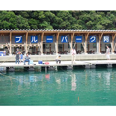 ふるさと納税 小浜市 釣堀で若狭の小鯛釣り放題(ペアチケット)