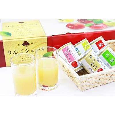 ふるさと納税 長野県 信州りんごジュース5種セレクト 160g×6本×5種類 フルーツジュース