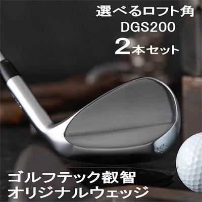 ふるさと納税 市川町 叡智オリジナルウェッジ2本セット(DGS200
