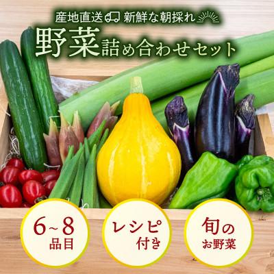 ふるさと納税 須崎市 新鮮な朝採れ 野菜 セット 6 〜 8品目 詰め合わせ レシピ 付き 産地直送 高知県 須崎市