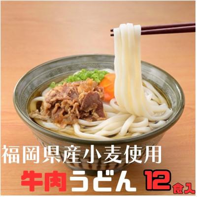 ふるさと納税 豊前市 フジギク牛肉うどん 249g(12食入り)