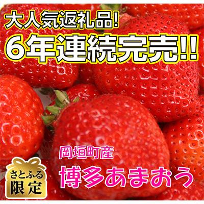 ふるさと納税 岡垣町 先行受付[さとふる限定]遠賀郡岡垣町産「博多あまおう DX(デラックス)」270g×4パック