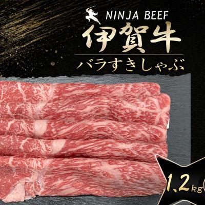売れ筋 【即日発送】 MTHFENF5A3R 型番:MTHFENF5A3R