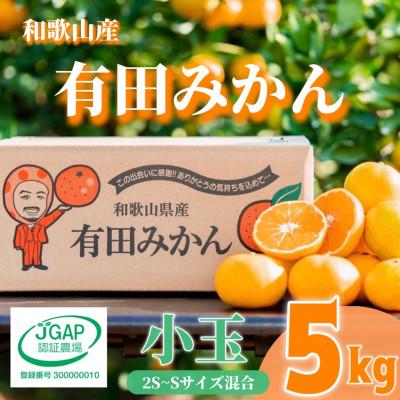ふるさと納税 湯浅町 先行受付2026年11月より順次発送[まごころ手選別]有田みかん5kg(2S・Sサイズ混合)
