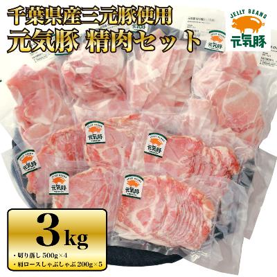 ふるさと納税 多古町 千葉県産三元豚　元気豚 精肉セット 3kg