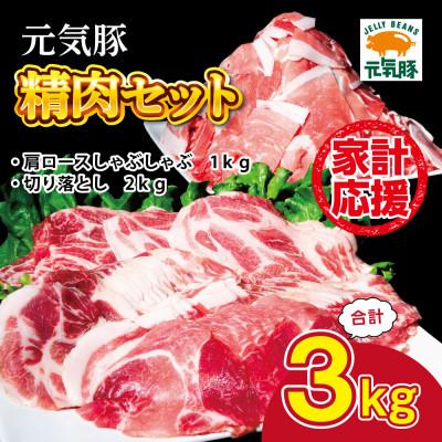 ふるさと納税 多古町 [小分け]千葉県産 三元豚 元気豚 豚肉詰め合わせ 3kg(肩ロース・切り落とし)