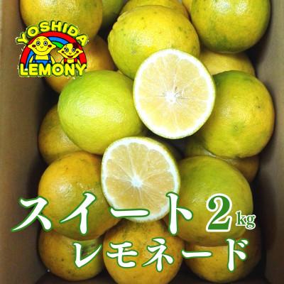 ふるさと納税 宇城市 食べるレモン スイートレモネード 2kg