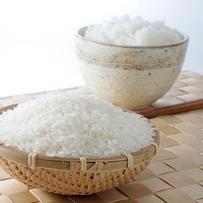 ふるさと納税 川場村 雪ほたか30kg(精米)【川場村産こしひかり