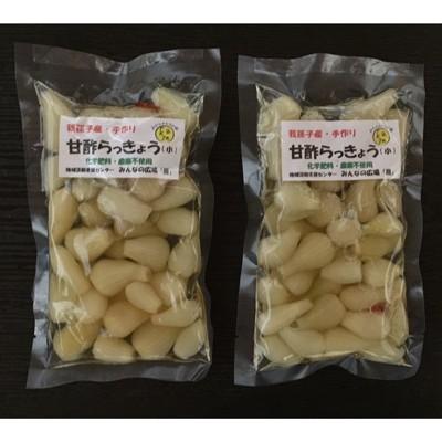 ふるさと納税 我孫子市 [福祉施設提供]手作り甘酢らっきょうセット