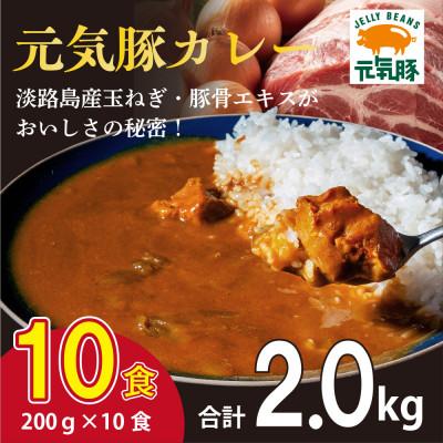 ふるさと納税 多古町 元気豚 レトルトポークカレー 10食セット(200g×10袋・計2kg)[常温保存]