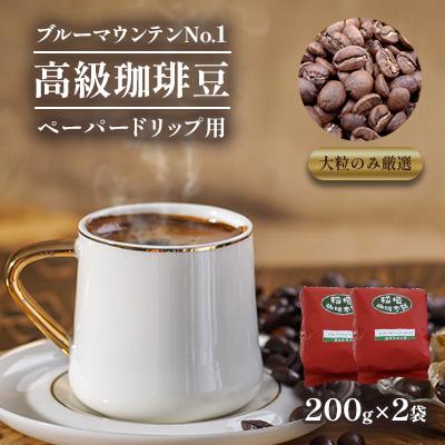 ふるさと納税 豊前市 ブルーマウンテンNo1(ペーパー用)200g×2