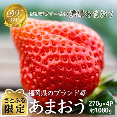代引不可 豊前市 ふるさと納税 先行受付 さとふる限定 あまおうdx規格4パック 22年1月上旬から順次発送 楽天市場 Tiebreak Fr