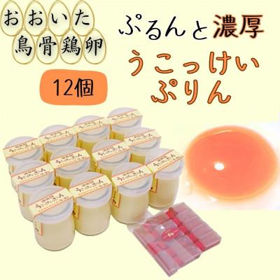 ふるさと納税 由布市 大分うこっけいプリン12個