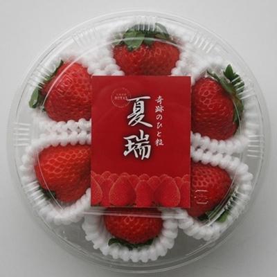 保証書付 東神楽町 ふるさと納税 夏イチゴ 芳潤なひと粒 夏瑞 4パックセット 最終値下げ Talentoindustrial Com