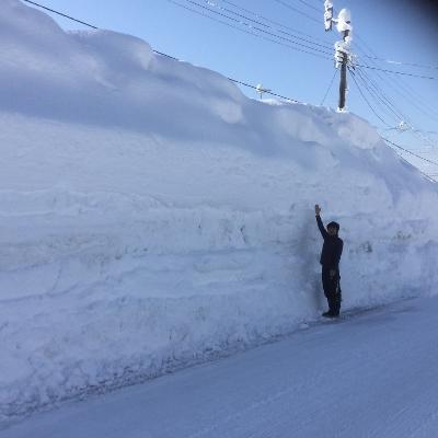 ふるさと納税 魚沼市 【令和6年産】【無洗米】　お米マイスター厳選　魚沼産コシヒカリ　合計9kg(3kg&times;3袋)