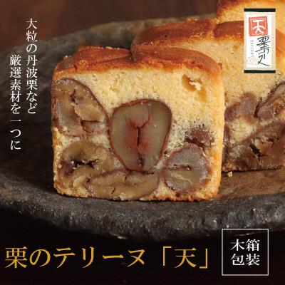 ふるさと納税 福知山市 栗のテリーヌ「天」1本(木箱入り)