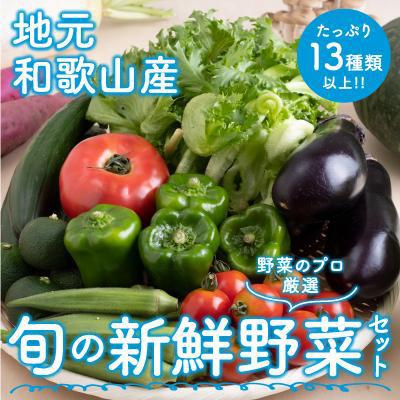 ふるさと納税 御坊市 旬の新鮮野菜セットたっぷり13種以上