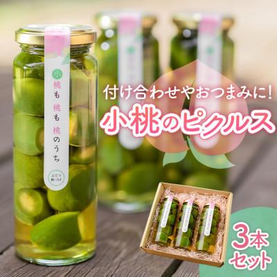 ふるさと納税 山梨市 山梨県産もものピクルス「小桃も桃も桃のうち」3本セット 前菜やワインのお供に!食卓が華やぐ♪