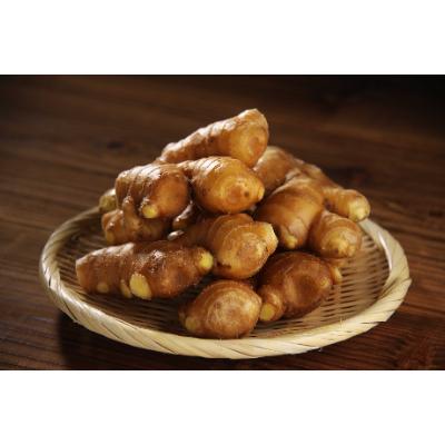 ふるさと納税 香美市 [高知県産]黄金しょうが 約2kg