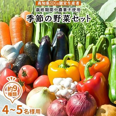 ふるさと納税 香美市 [高知県SDGs認定生産者]農薬不使用 季節の野菜セット(4〜5名様用)