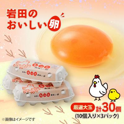 ふるさと納税 榛東村 岩田のおいしい卵厳選大玉30個(10個入り×3パック)