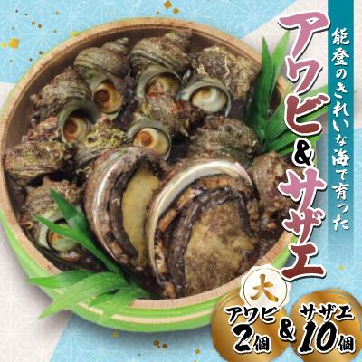 ふるさと納税 七尾市 能登 アワビ・サザエセット(大アワビ2ヶ/サザエ10ヶ)