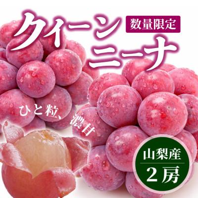 ふるさと納税 山梨市 [数量限定]希少!赤い宝石 『クイーンニーナ』 2房 山梨のぶどう クインニーナ