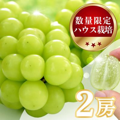 ふるさと納税 山梨市 [数量限定]6月下旬〜7月中旬発送ハウス栽培の『シャインマスカット』 2房 約1kg