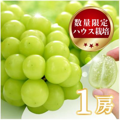 ふるさと納税 山梨市 [数量限定 ]6月下旬〜7月中旬発送。ハウス栽培の『シャインマスカット』 1房