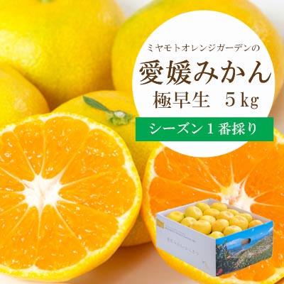 ふるさと納税 八幡浜市 シーズン1番採り!八幡浜産 極早生みかん 5kg[C25-35]