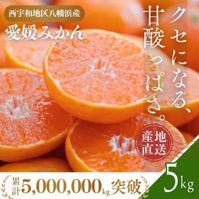 ふるさと納税 八幡浜市 愛媛みかん 5kg 西宇和地区八幡浜市産[D25-21]