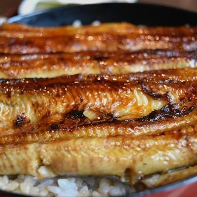 ふるさと納税 沼津市 沼津うなよし 手焼き国産うなぎ蒲焼2尾