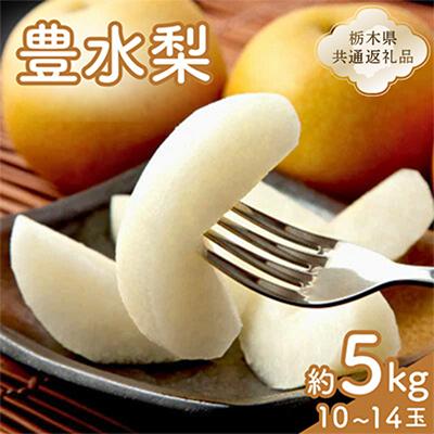 ふるさと納税 那須塩原市 豊水梨 1箱(10個〜14個)[栃木県共通返礼品]