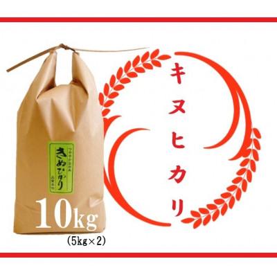 ふるさと納税 竜王町 令和5年産 近江米[キヌヒカリ10kg]