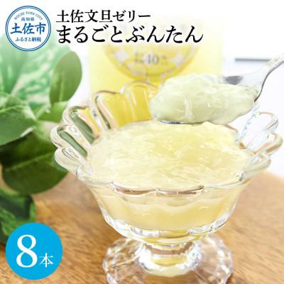 ふるさと納税 土佐市 手作り土佐文旦ゼリー まるごとぶんたん 140g×8本 詰め合わせセット