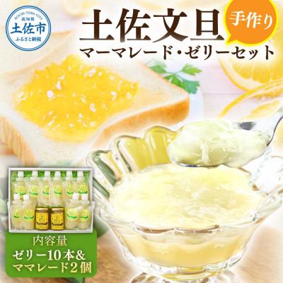 ふるさと納税 土佐市 土佐文旦をふんだんに使った手作りママレードとゼリーの詰め合わせセット(ゼリー10本/ママレード2個)