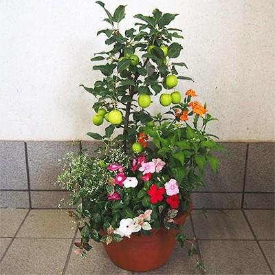 アイテムID:394207の画像1枚目