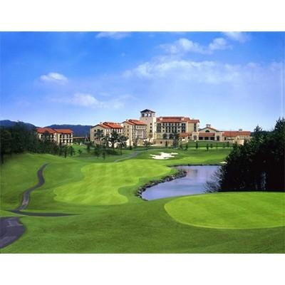 ふるさと納税 西郷村 【グランディ那須白河ゴルフクラブ】2023年4〜11月末利用可ゴルフ土日祝1組4名様セルフプレー券