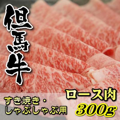 ふるさと納税 新温泉町 但馬牛 ロースすき焼き・しゃぶしゃぶ用 300g