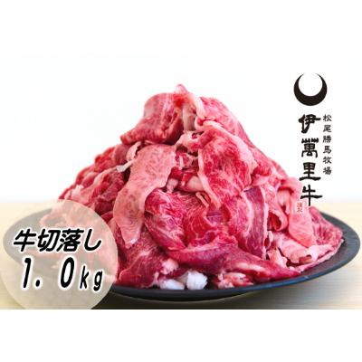 ふるさと納税 伊万里市 伊万里牛 切り落とし 1kg