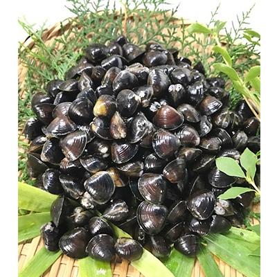 ふるさと納税 桑名市 マルヨシ水産 冷凍蜆2kg(500g×4個